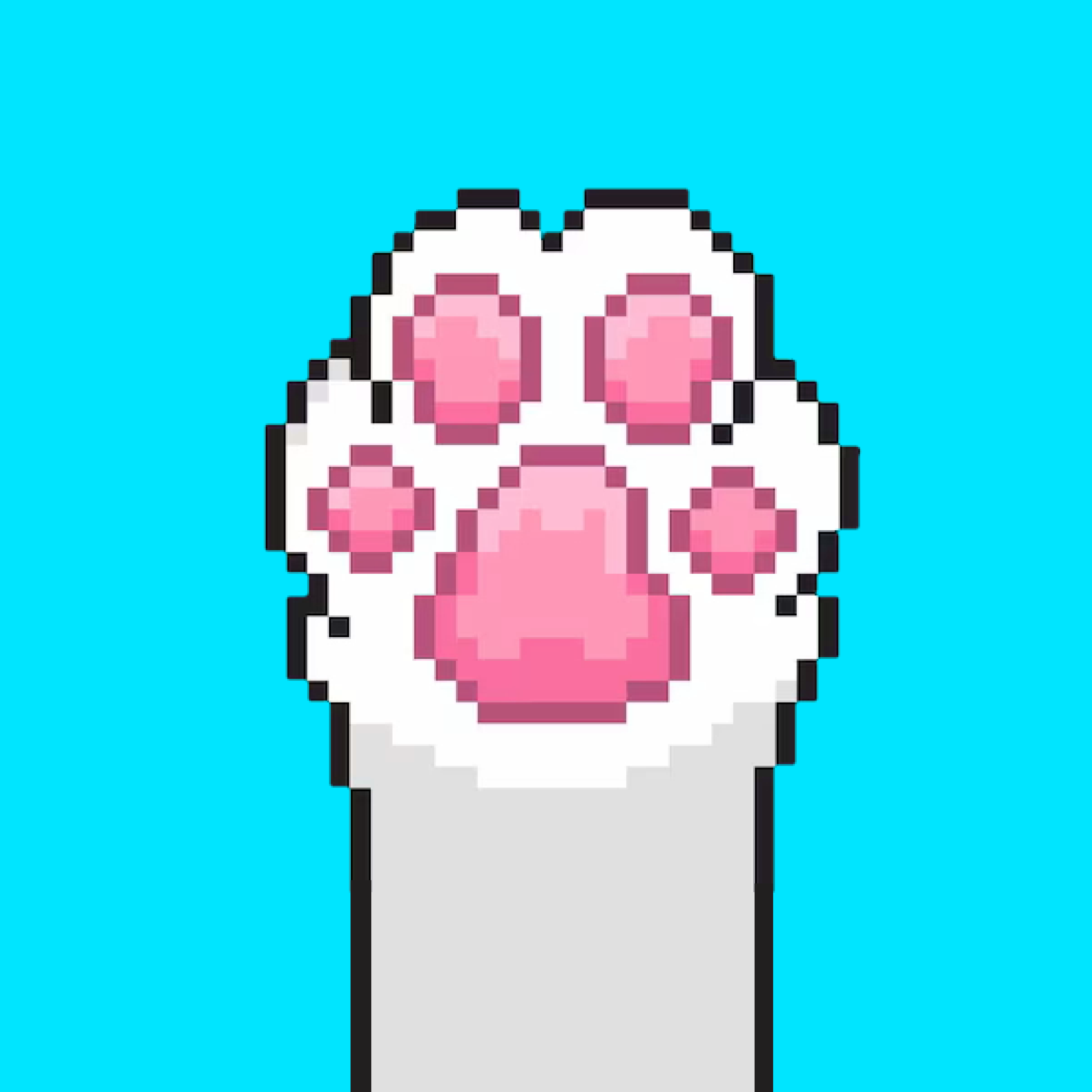 Petedoro App Icon